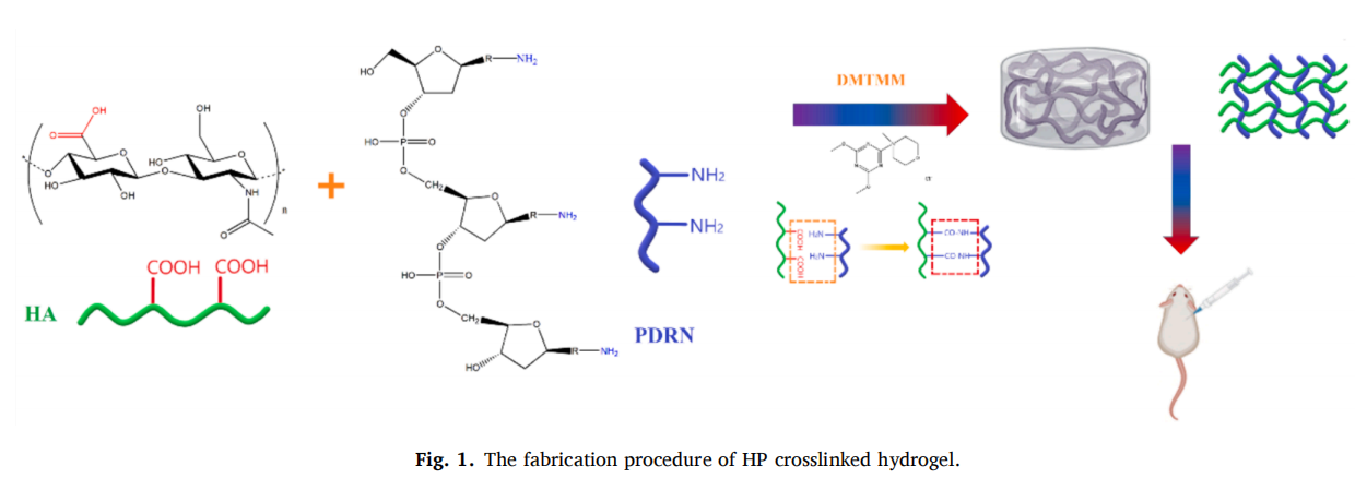 1758591634697747.png c0690974-3ccb-4b5f-a2dd-dfe433258510.png